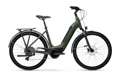 Przejdź do produktu Winora Tria 10 Low mossgreen matt 2025