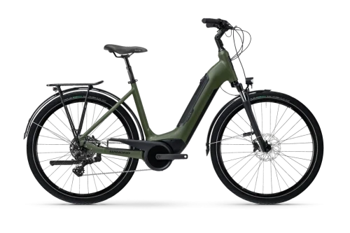 Przejdź do produktu Winora Tria 10 Low mossgreen matt 2025