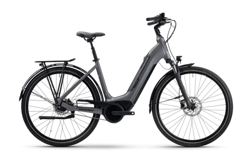 Przejdź do produktu Winora Tria N8 Low Microchip Grey glossy 2025